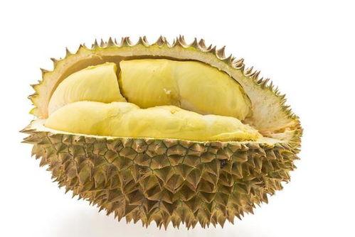 榴莲瓜园字母吃瓜,一场别开生面的吃瓜盛宴