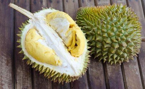 榴莲瓜园字母吃瓜,一场别开生面的吃瓜盛宴  第2张