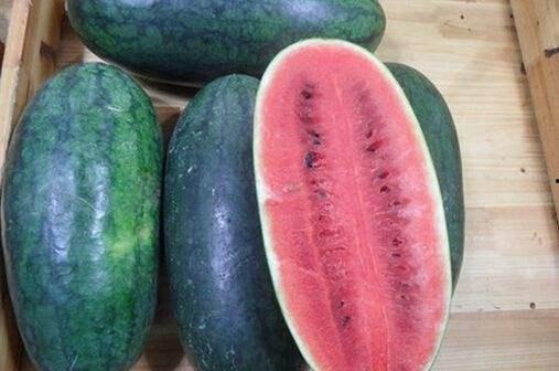 山东蒙阴吃瓜事件视频,一场引发热议的网络视频风波 第3张 山东蒙阴吃瓜事件视频,一场引发热议的网络视频风波 第3张