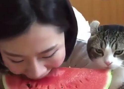 吃瓜动作神同步,吃瓜动作神同步,揭秘网友们的默契瞬间 第2张 吃瓜动作神同步,吃瓜动作神同步,揭秘网友们的默契瞬间 第2张