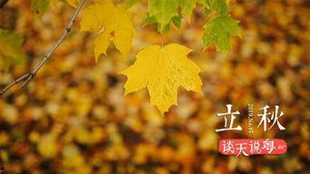 立秋何时吃瓜,揭秘何时吃瓜的最佳时机