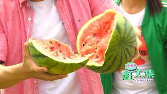 梗王吃大瓜,揭秘娱乐圈幕后风云 第3张 梗王吃大瓜,揭秘娱乐圈幕后风云 第3张