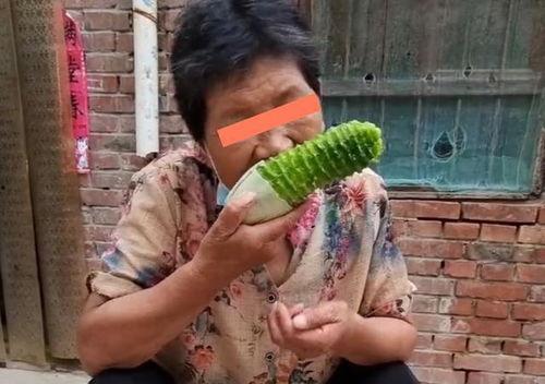 在地里吃瓜视频,一场别开生面的吃瓜盛宴 第2张 在地里吃瓜视频,一场别开生面的吃瓜盛宴 第2张