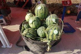 魏太傅吃瓜,一场宫廷与民间的趣味碰撞