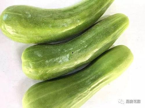 古人吃的什么瓜,探寻古人餐桌上的瓜果风情 第3张 古人吃的什么瓜,探寻古人餐桌上的瓜果风情 第3张