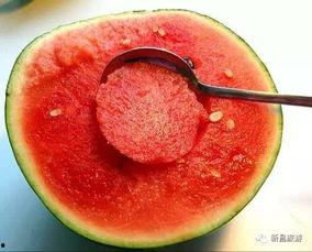 小鱼海棠吃瓜群,揭秘网络社交圈的趣味与热议 第2张 小鱼海棠吃瓜群,揭秘网络社交圈的趣味与热议 第2张