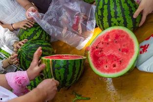 吃瓜视频介休,介休风云录  第2张