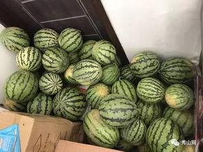 吃瓜视频介休,介休风云录  第3张