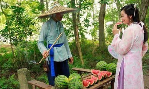 种吃瓜,探寻夏日吃瓜的乐趣与智慧 第3张 种吃瓜,探寻夏日吃瓜的乐趣与智慧 第3张
