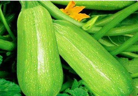 产妇是否可以吃茭瓜,产妇能否食用茭瓜？  第2张