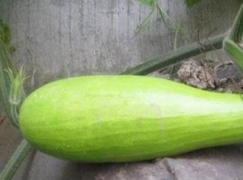 砍瓜吃视频大全,尽享美味瞬间！视频大全带你领略烹饪新境界  第3张