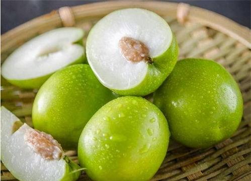 罗捷女士吃瓜,罗捷女士的瓜田奇遇记