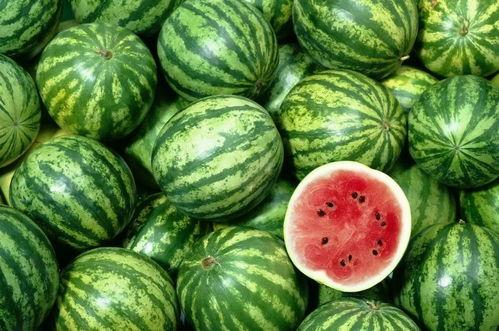 饕餮吃瓜,揭秘吃瓜界的饕餮传奇 第3张 饕餮吃瓜,揭秘吃瓜界的饕餮传奇 第3张