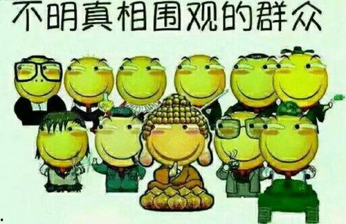 吃瓜转运完结,一场奇幻冒险的圆满落幕 第2张 吃瓜转运完结,一场奇幻冒险的圆满落幕 第2张