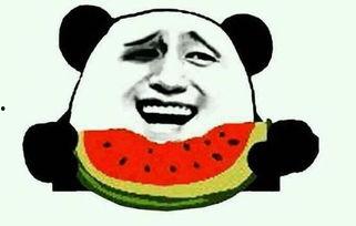 日常作死吃瓜视频,一场场惊心动魄的挑战秀 第3张 日常作死吃瓜视频,一场场惊心动魄的挑战秀 第3张