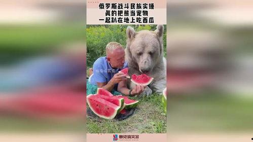 宠物吃瓜,瓜果飘香,萌宠欢享 第3张 宠物吃瓜,瓜果飘香,萌宠欢享 第3张