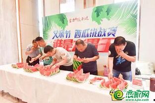 父亲节吃瓜比赛,欢乐竞技,亲情满满 第2张 父亲节吃瓜比赛,欢乐竞技,亲情满满 第2张