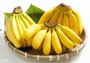 香蕉吃瓜视频大全,趣味横生的欢乐时光回顾