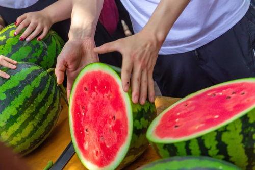 民航大学吃瓜,民航大学食堂美食风云录