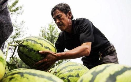 吃老汉瓜拉肚子,揭秘夏日消暑美食背后的健康隐患 第3张 吃老汉瓜拉肚子,揭秘夏日消暑美食背后的健康隐患 第3张