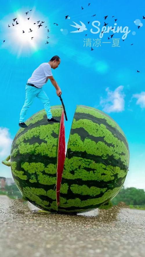 吃口瓜手机摄影,吃口瓜,捕捉生活美好瞬间 第2张 吃口瓜手机摄影,吃口瓜,捕捉生活美好瞬间 第2张