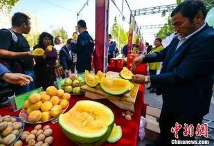 敦煌近期吃瓜新闻