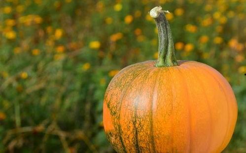 醒了吃瓜,我成了吃瓜群众  第3张