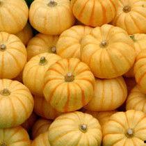 日本桔瓜怎么吃