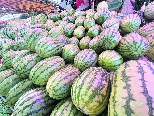 甜王瓜是石头瓜吗怎么吃,揭秘石头瓜之谜，教你美味食用方法  第2张