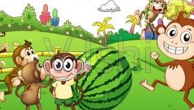 口才表演猴子吃瓜,一场口才与智慧的较量 第3张 口才表演猴子吃瓜,一场口才与智慧的较量 第3张