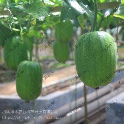 苹果博客吃瓜,一场吃瓜盛宴背后的科技盛宴