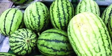 围观吃瓜发现自己是瓜主,围观吃瓜的我,竟成了瓜主! 第3张 围观吃瓜发现自己是瓜主,围观吃瓜的我,竟成了瓜主! 第3张