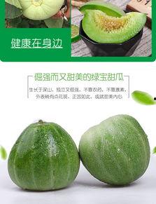 绿宝甜脆瓜怎么吃