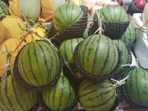 吃瓜顶流社,揭秘娱乐圈幕后风云  第3张