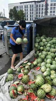 商丘初中吃瓜事件,校园风波背后的真相与反思 第2张 商丘初中吃瓜事件,校园风波背后的真相与反思 第2张