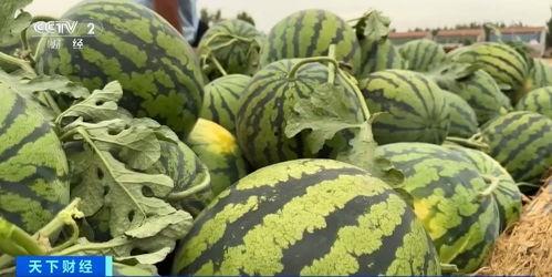 商丘初中吃瓜事件,校园风波背后的真相与反思 第3张 商丘初中吃瓜事件,校园风波背后的真相与反思 第3张