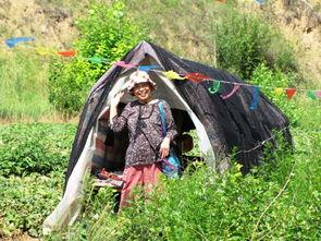 榆瓜怎么吃,探索美味与营养的完美融合  第3张