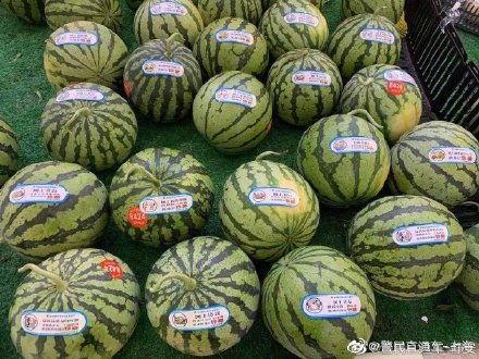 反吃瓜联盟,网络舆论新势力崛起  第2张