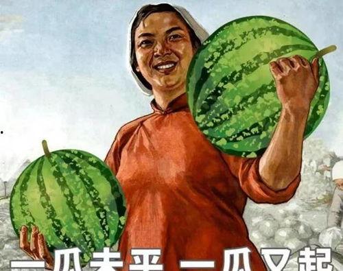 刷老婆的卡吃瓜,揭秘吃瓜背后的消费秘密