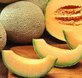 万物吃瓜,揭秘吃瓜文化的盛行与魅力  第2张