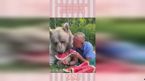 熊瓜怎样吃,探索美味与健康的完美结合  第3张