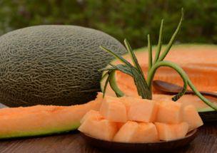 吃哈密瓜人,人生甘甜 第3张 吃哈密瓜人,人生甘甜 第3张