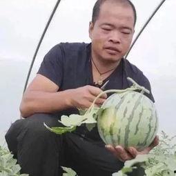 吃瓜不忘挖饼人,揭秘娱乐圈背后的故事 第3张 吃瓜不忘挖饼人,揭秘娱乐圈背后的故事 第3张