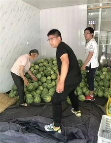 常州冶金江怡的瓜在哪吃,探寻常州冶金江怡瓜的美食之旅 第2张 常州冶金江怡的瓜在哪吃,探寻常州冶金江怡瓜的美食之旅 第2张