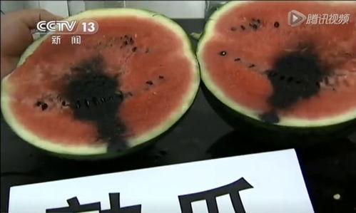 瓜瓜吃瓜视频0,揭秘娱乐圈幕后故事 第2张 瓜瓜吃瓜视频0,揭秘娱乐圈幕后故事 第2张