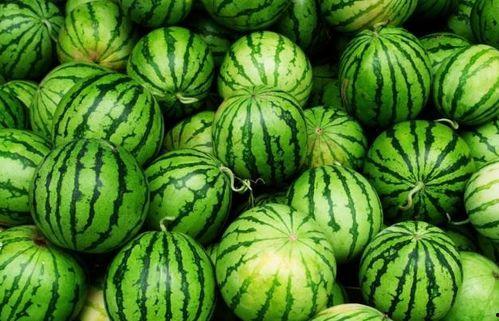 夏季吃老瓜,老瓜美食探秘 第2张 夏季吃老瓜,老瓜美食探秘 第2张