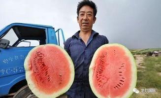 哪里可以看吃瓜事件,从幕后真相到公众热议  第2张