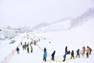 雪场吃瓜事,一场吃瓜事件的背后真相  第3张