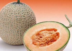 孕晚期一次吃半个哈密瓜,神奇助力胎儿健康发育 第3张 孕晚期一次吃半个哈密瓜,神奇助力胎儿健康发育 第3张