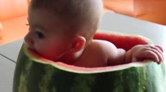 吃瓜婴儿视频,吃瓜婴儿萌态视频走红网络  第3张